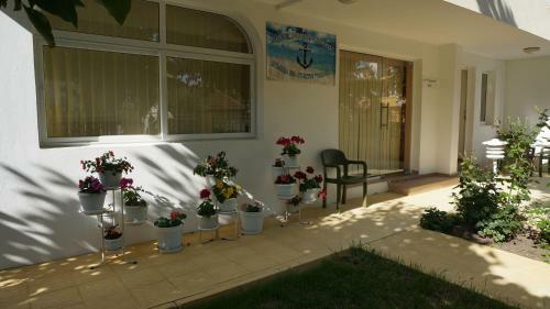 Hostal Borko Guest House