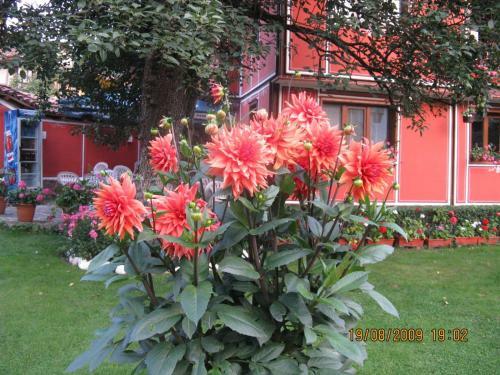 Family Hotel Kalina