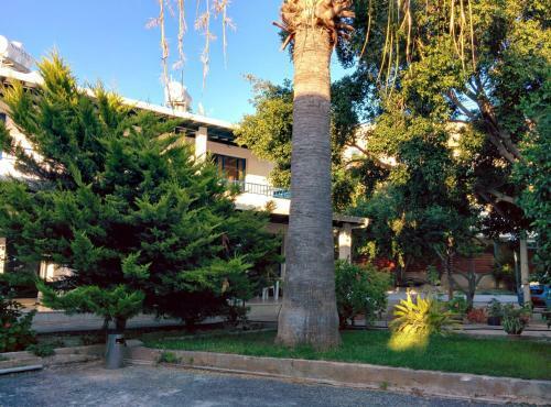 Apartamento Zoe's Court