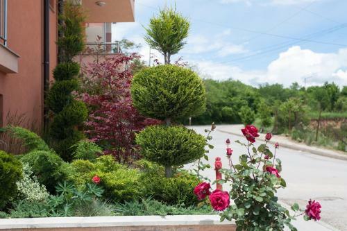 City Blagoevgrad Hotel
