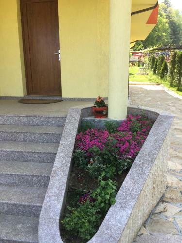 Hostal Kot Garden Guest House