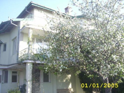 Hostal Guest House Slona