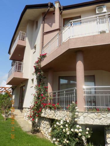 Hostal Zenith Guest House