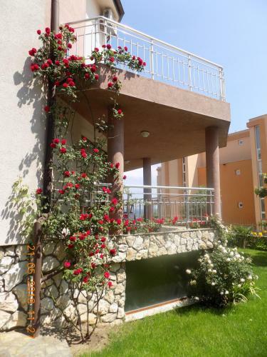 Hostal Zenith Guest House