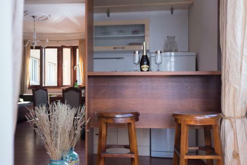 Central Apartment