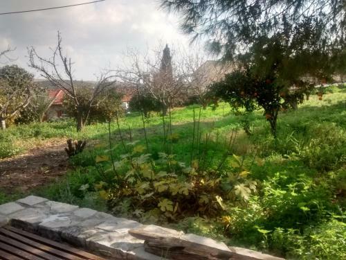 Agroturismo Garden Kamara House
