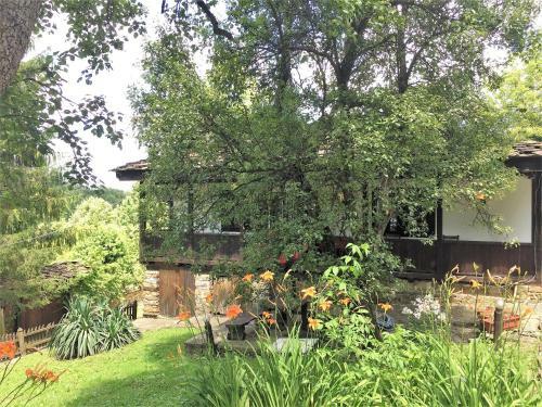 Dzhelepova Guest House- Pool Access