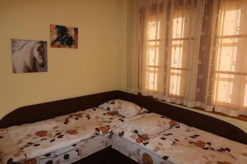 Guest House Divna