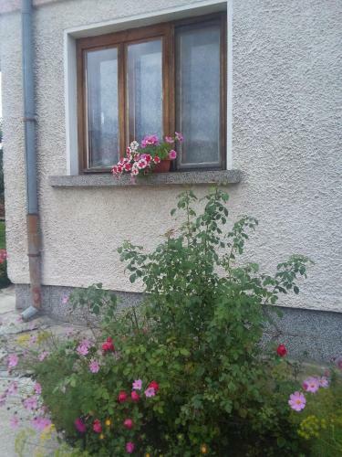 Hostal Guest House Ahp