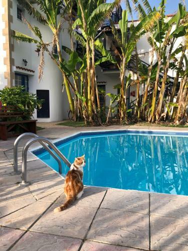 Bay View Hotel Apartments