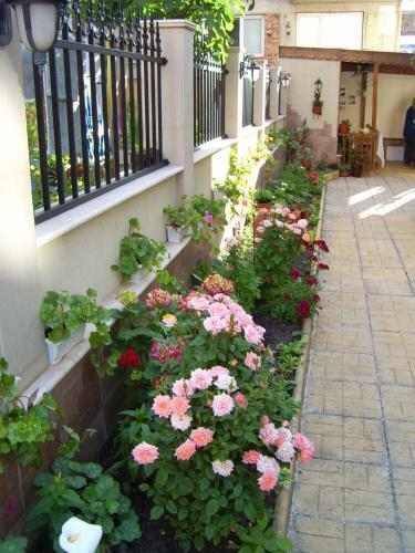 Hostal Vlasta Guest House