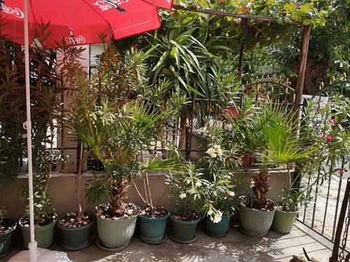Hostal Ropotamo Guest House