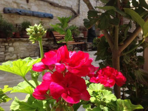 Agroturismo Vavla Rustic Retreat