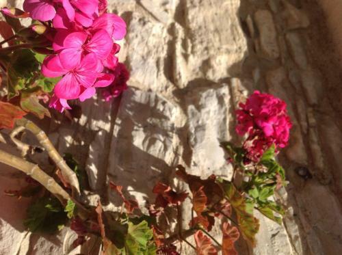 Agroturismo Vavla Rustic Retreat