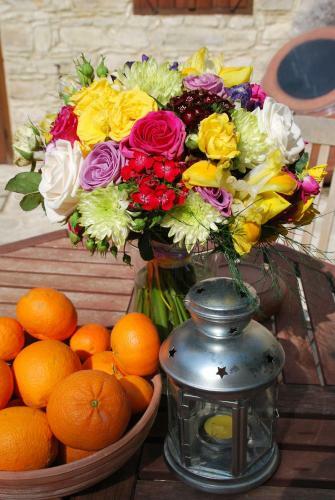 Agroturismo Vavla Rustic Retreat