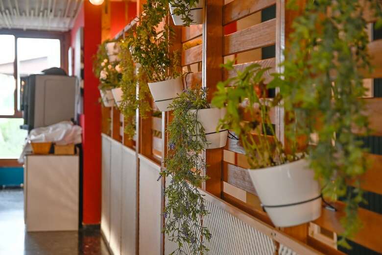 Pinos Playa Hotel