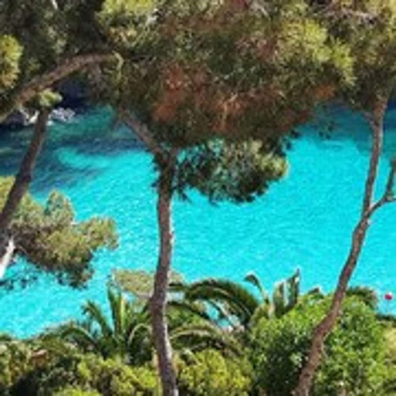 Pinos Playa Hotel