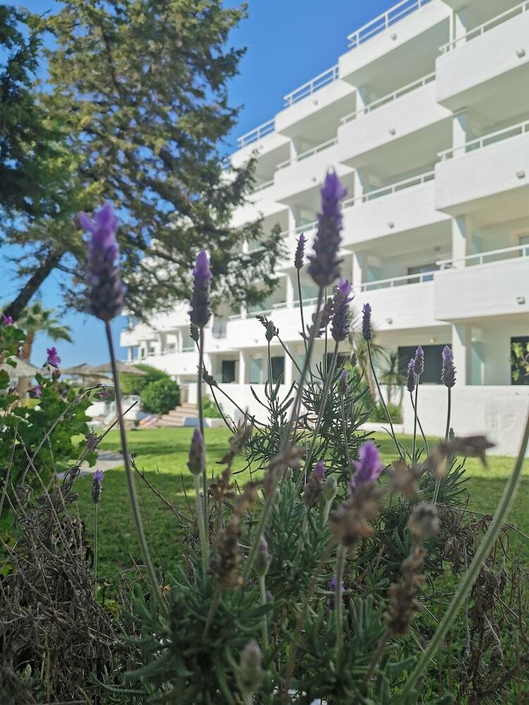 Apartamentos Camelina Suites