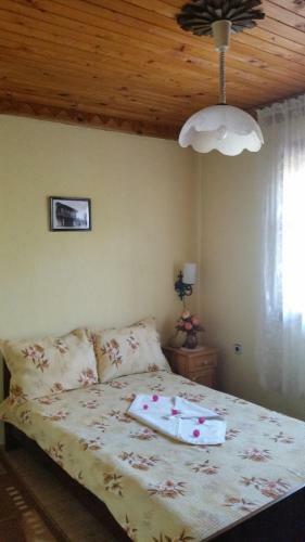 Hostal Mechta Guest House