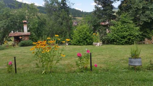 Hostal Mechta Guest House