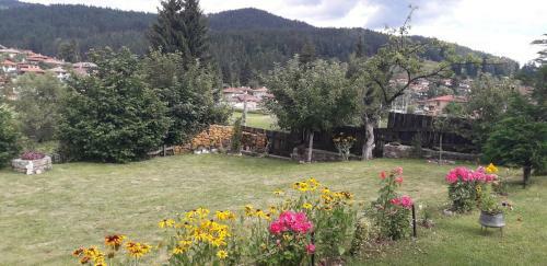 Hostal Mechta Guest House