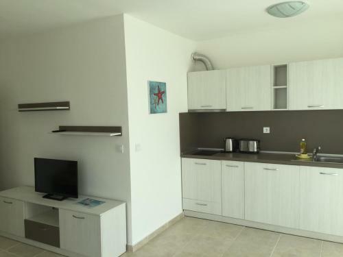 Sea Life Apartments Sinemorets