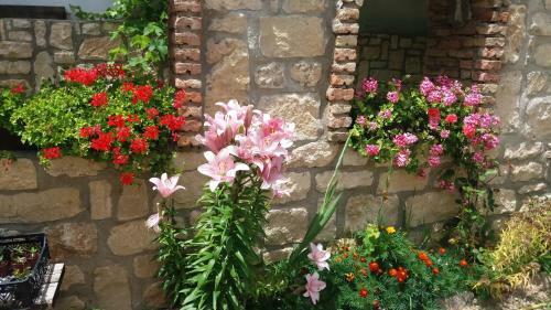 Hostal Villa Nasco