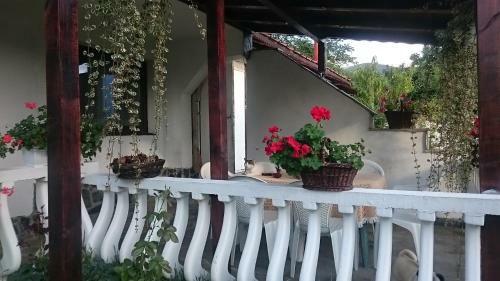 Apartamento Guesthouse Dida