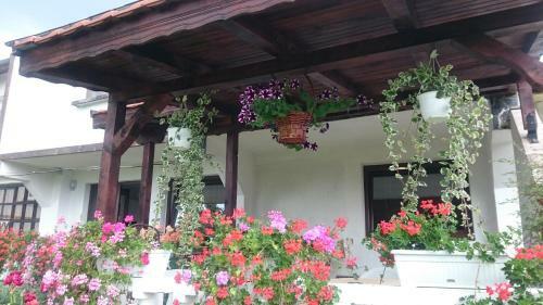 Apartamento Guesthouse Dida