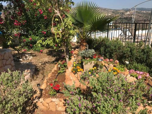 Apartamento Peyia Pearl