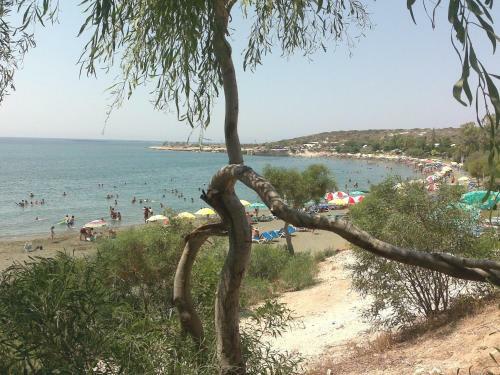 Apartamento Meli House