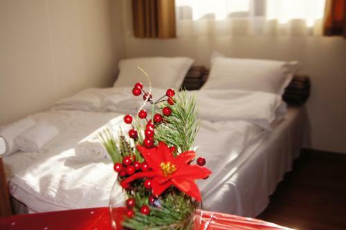 Apartamento Edelweiss Studios