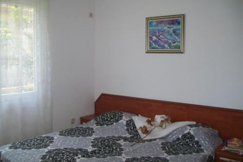 Hostal Villa Vesela