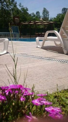 Family Apartments In Solmarin