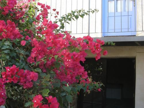 Apartment Mespilo House.1