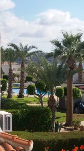Apartamento Mila Coral Bay Suite