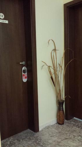 Hostal Guest House Markovi
