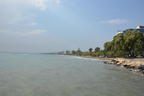 Ipsilantou 6 Apartment