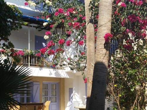 Apartment Tenta House