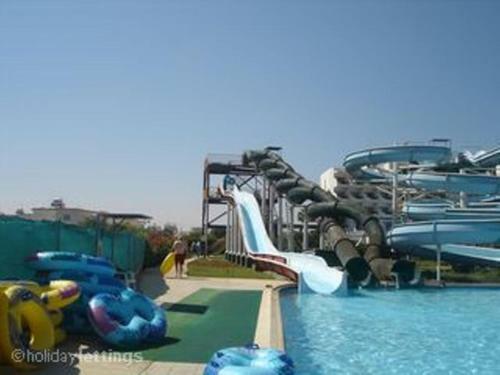 Villa 15 Chara Cynthiana