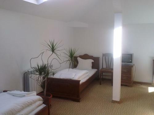Hostal Guest House Todorini Kashti