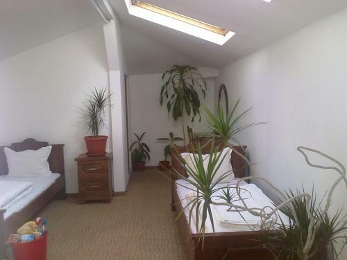 Hostal Guest House Todorini Kashti
