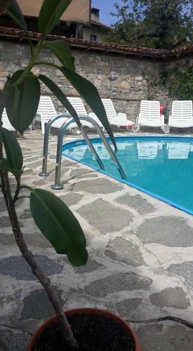 Hostal Guest House Todorini Kashti