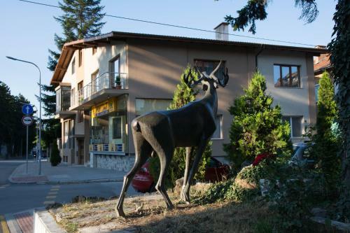 Hostal Guest House Elena