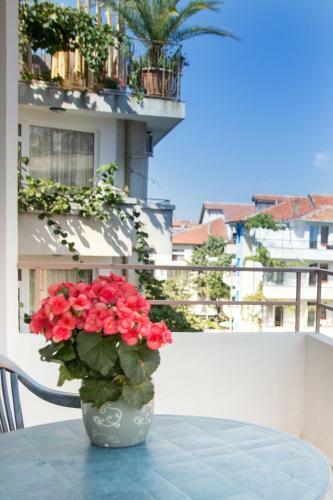 Hostal Atavel Guest House