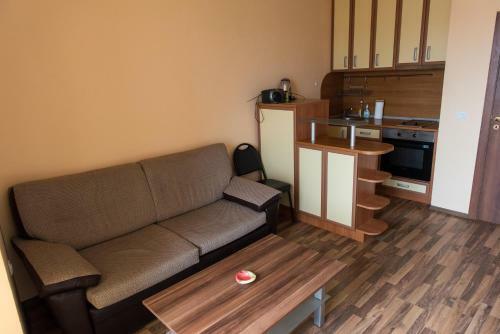 Apartment Petko Voivoda