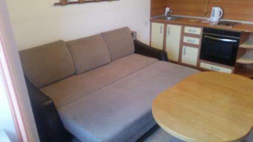 Apartment Petko Voivoda