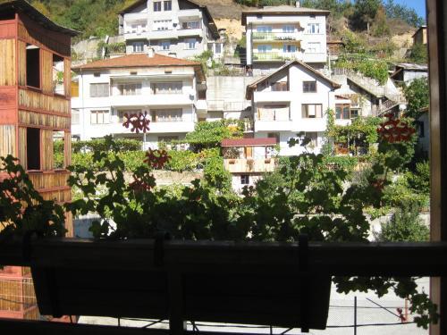 Family Hotel Veronika