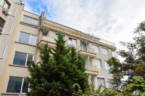 Classic Apartment