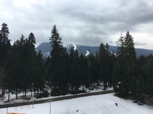 Rivendell Borovets Gardens Apartments